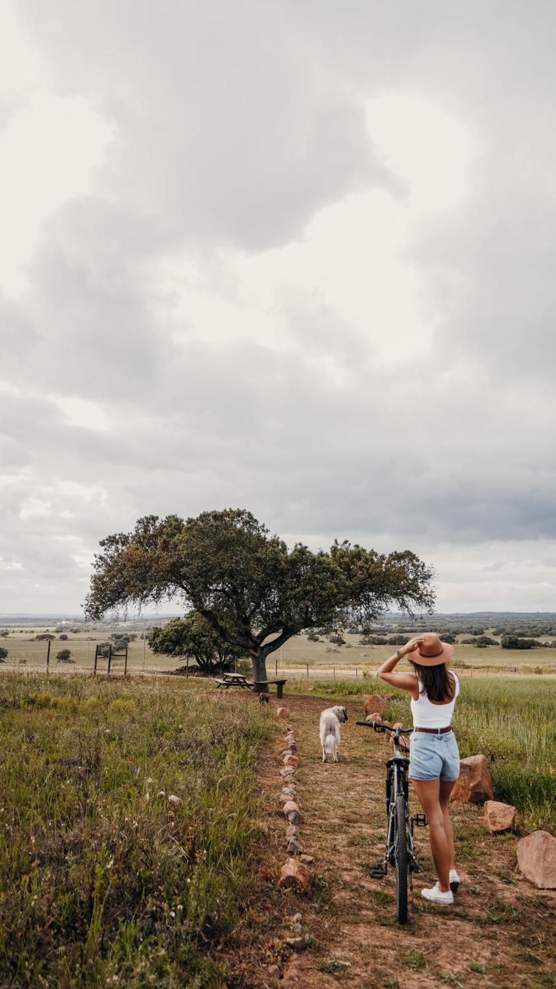 Montimerso Skyscape Countryhouse Monsaraz Esterno foto