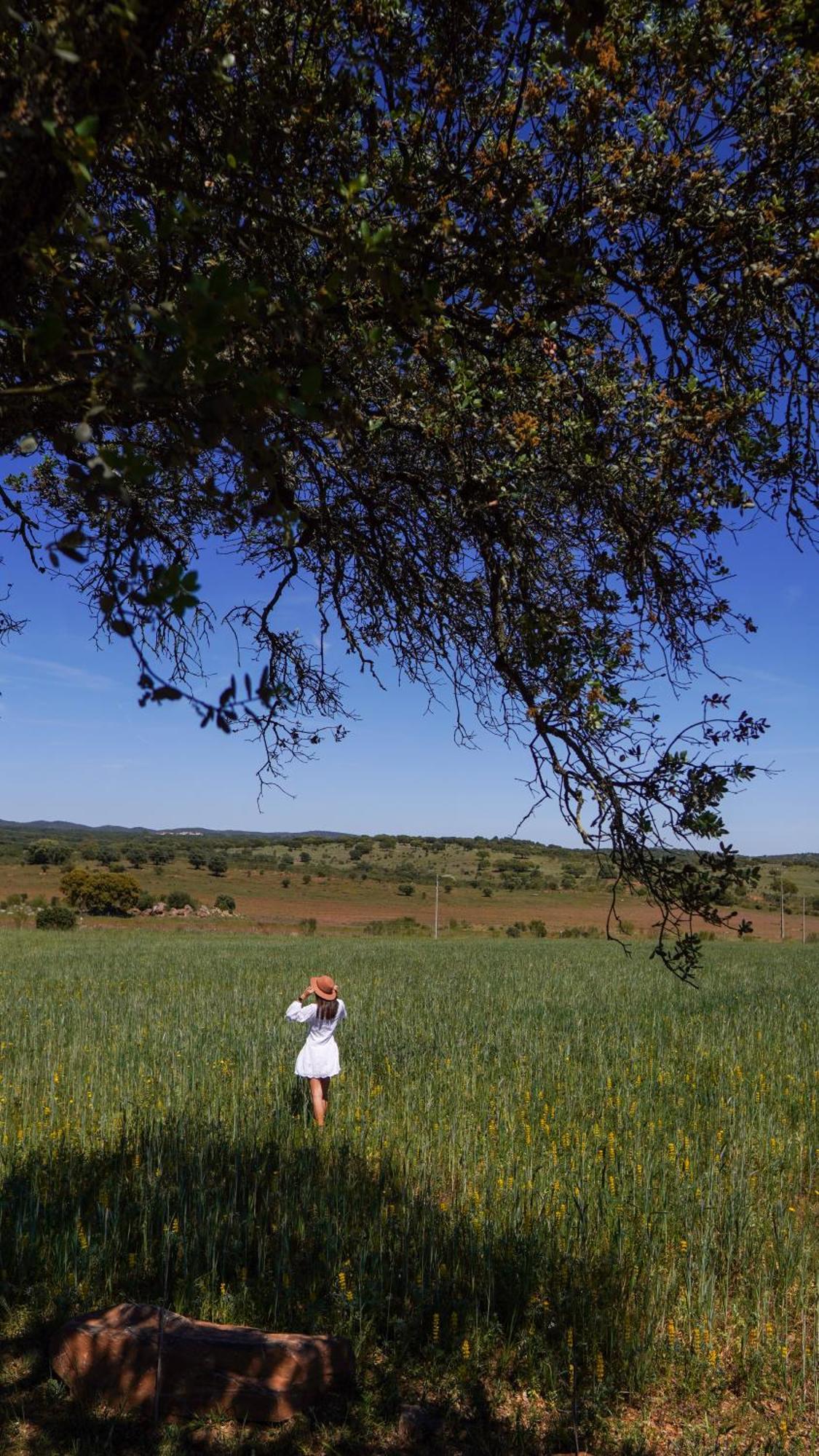 Montimerso Skyscape Countryhouse Monsaraz Esterno foto