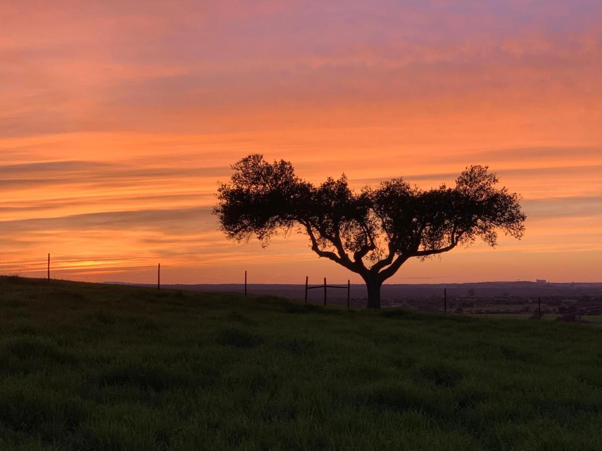 Montimerso Skyscape Countryhouse Monsaraz Esterno foto